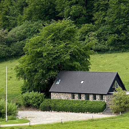 Stenhuset I Pilbrodalen 斯坎讷堡 外观 照片