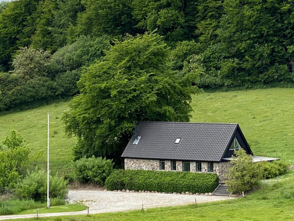 Stenhuset I Pilbrodalen 斯坎讷堡 外观 照片